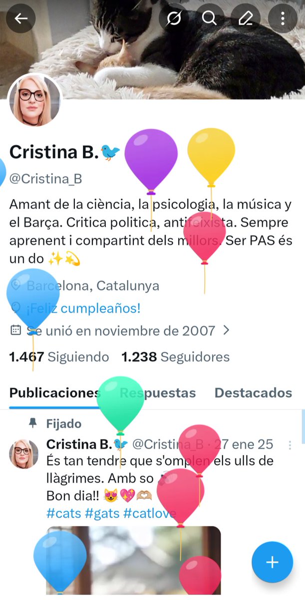 Cristina B.🐦 tweet media