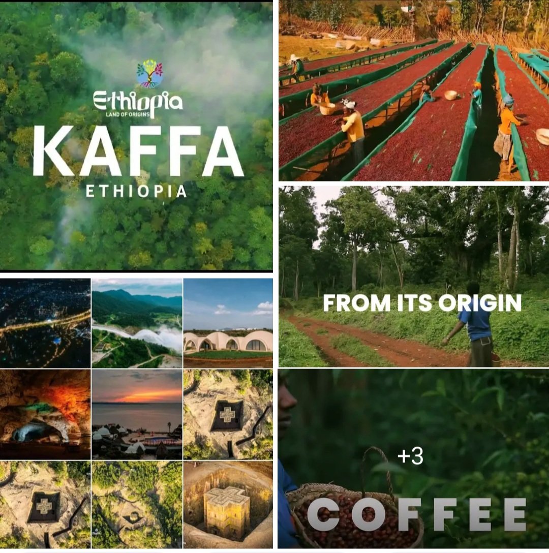 Anteneh Habtegiorgis tweet media