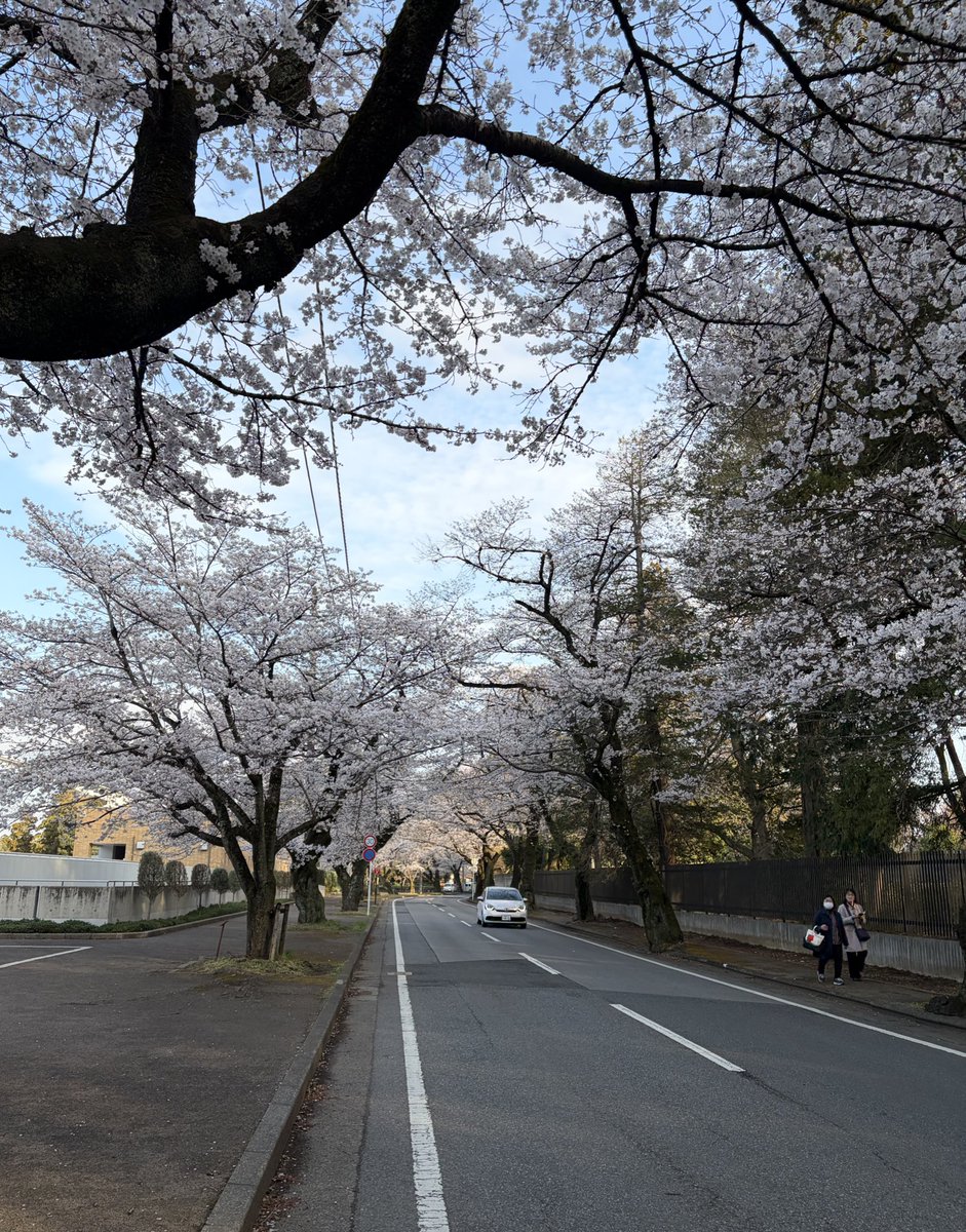 💜happiness💜 tweet media