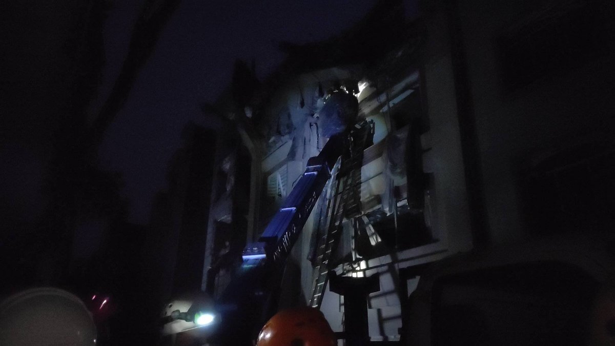 Leyla paydar tweet media