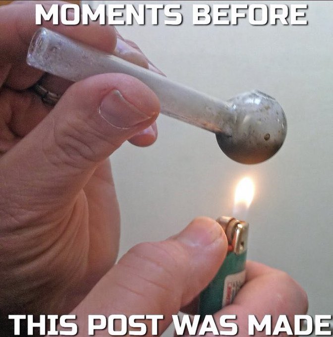 SLAVA MORE! tweet media