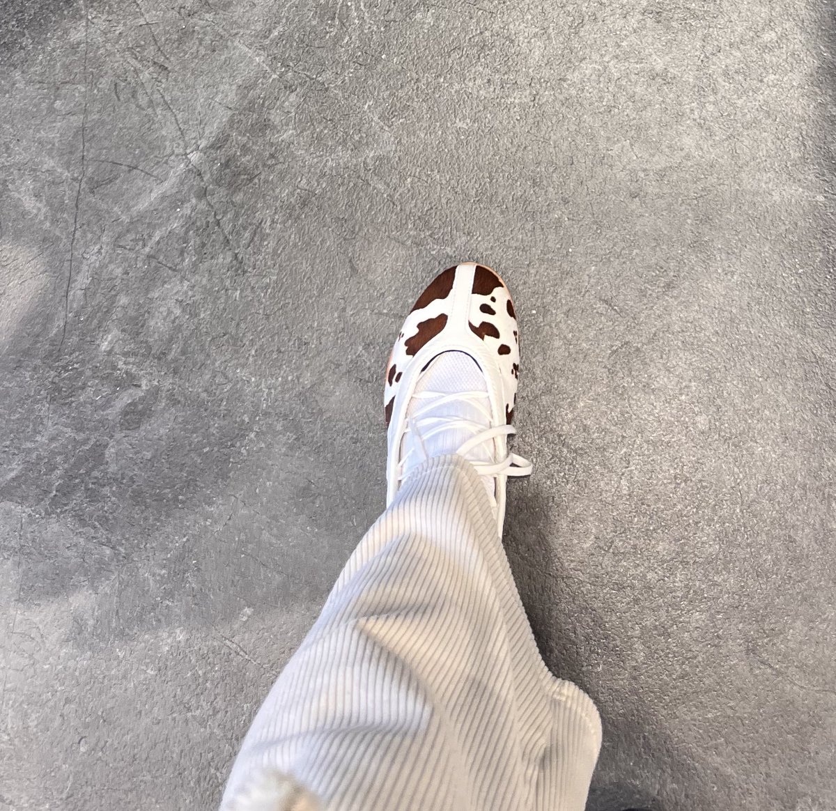 שירה בציבור tweet media