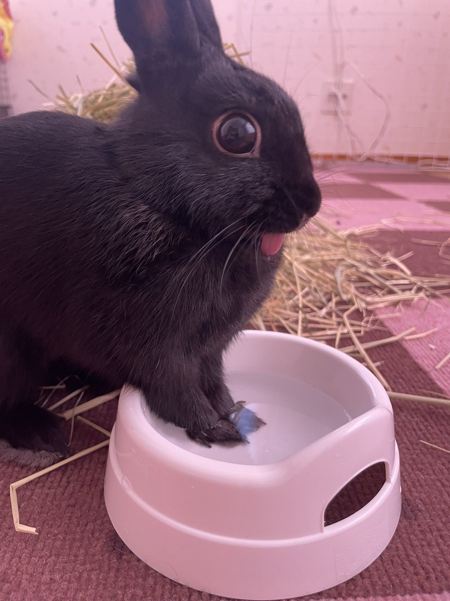 ほほえみり tweet media