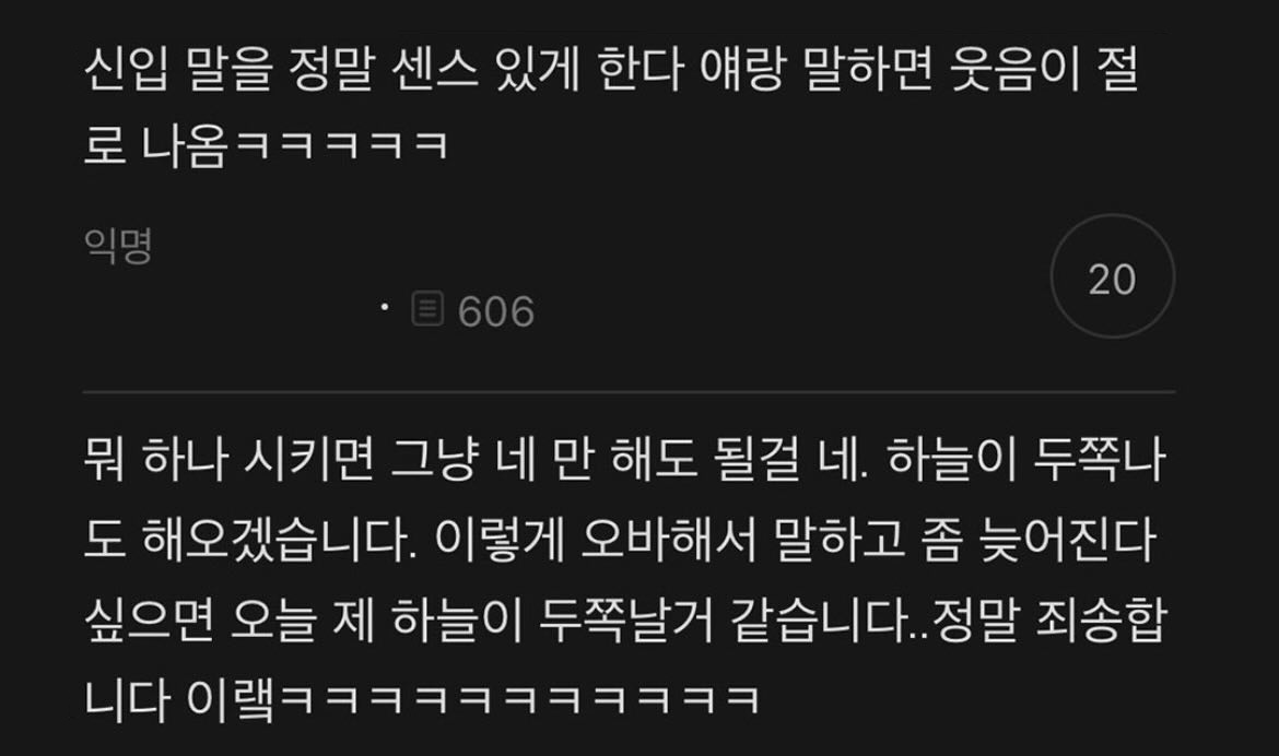 대환장 갤러리 tweet media