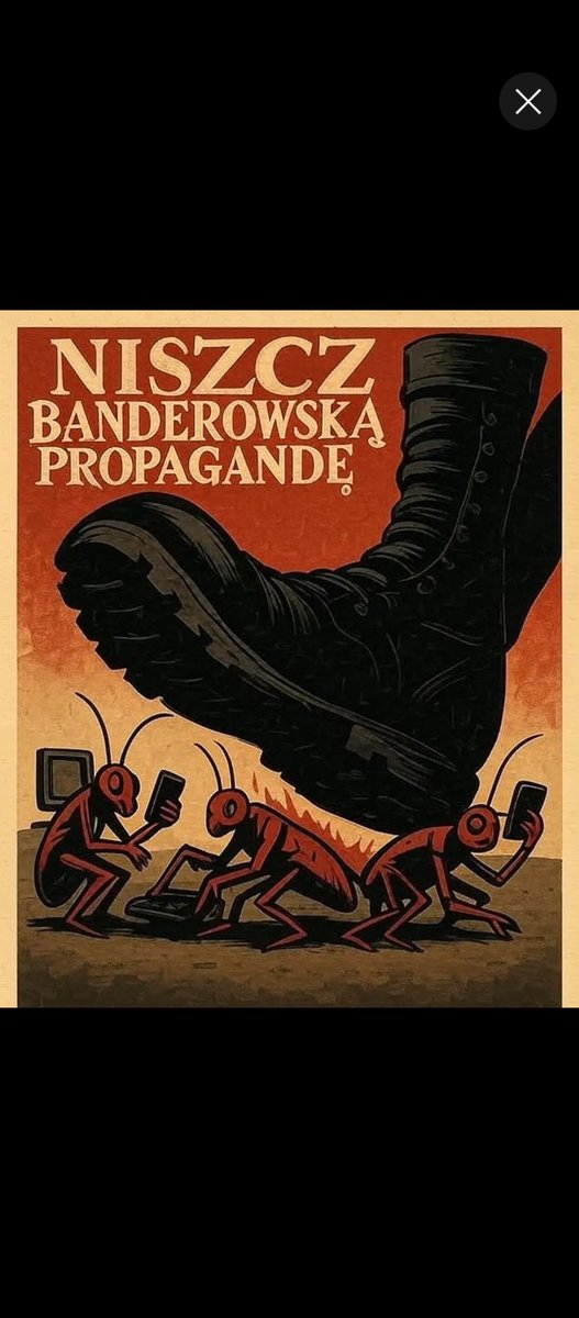 Wojciech Świdrak tweet media