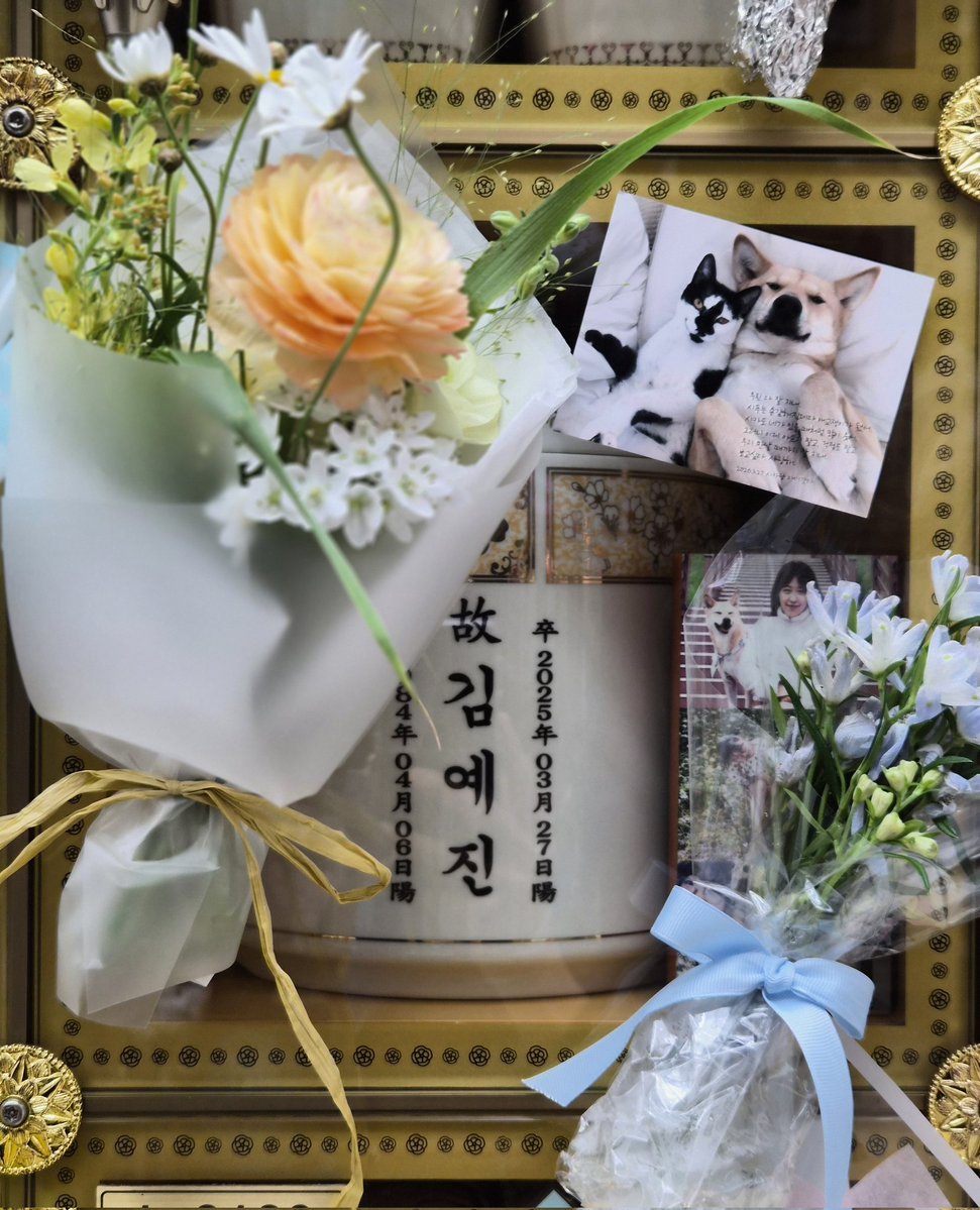 🎗맘씨좋은 🐈김마중씨&🐕 정새별씨 tweet media