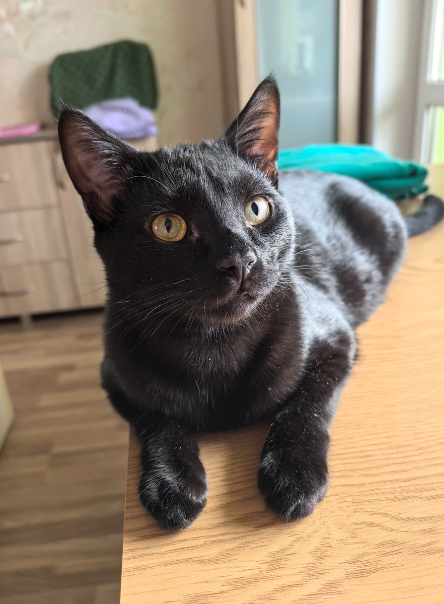 cockroach_mom tweet media