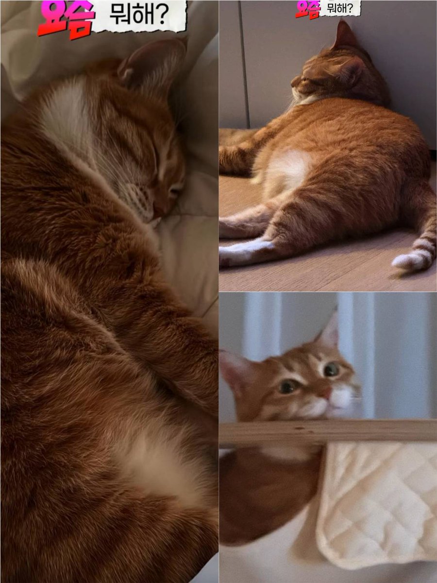 When.me.offduty tweet media