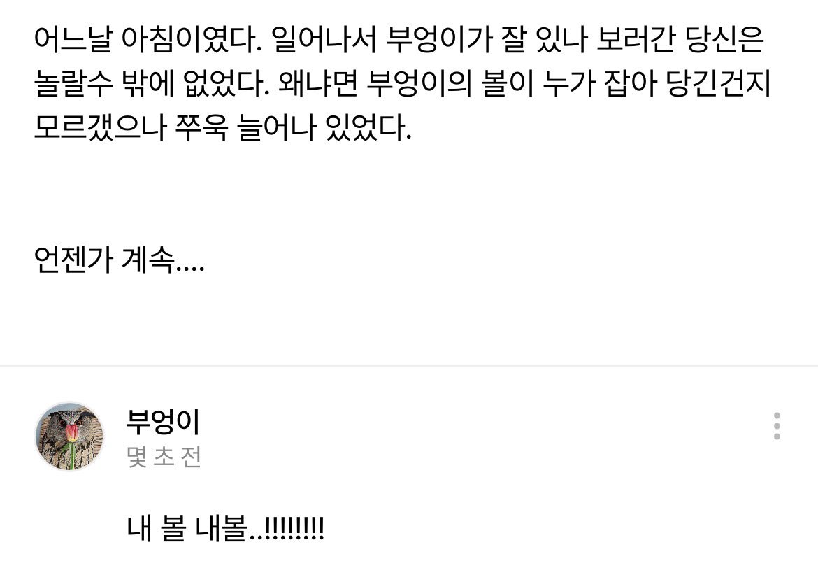 부엉이 tweet media