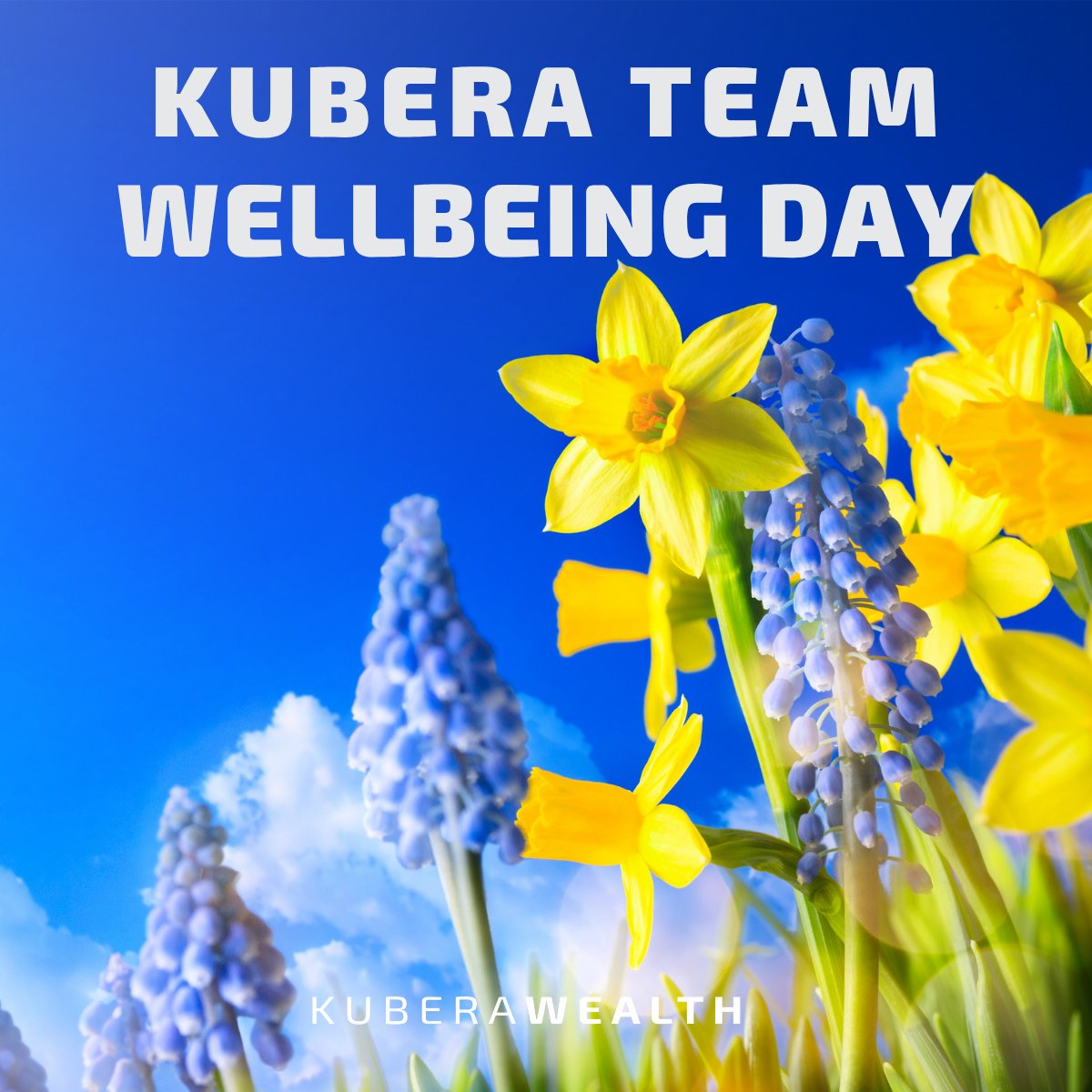 Kubera Wealth tweet media