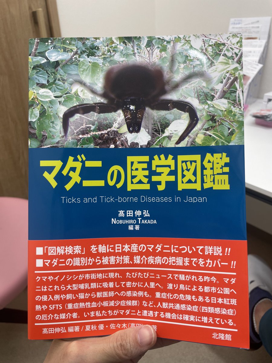 辺境クライマーけんじり tweet media