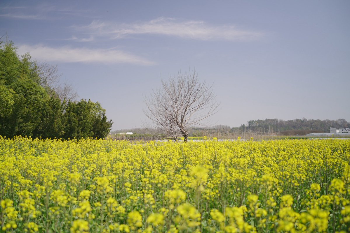 拖鞋哥 tweet media