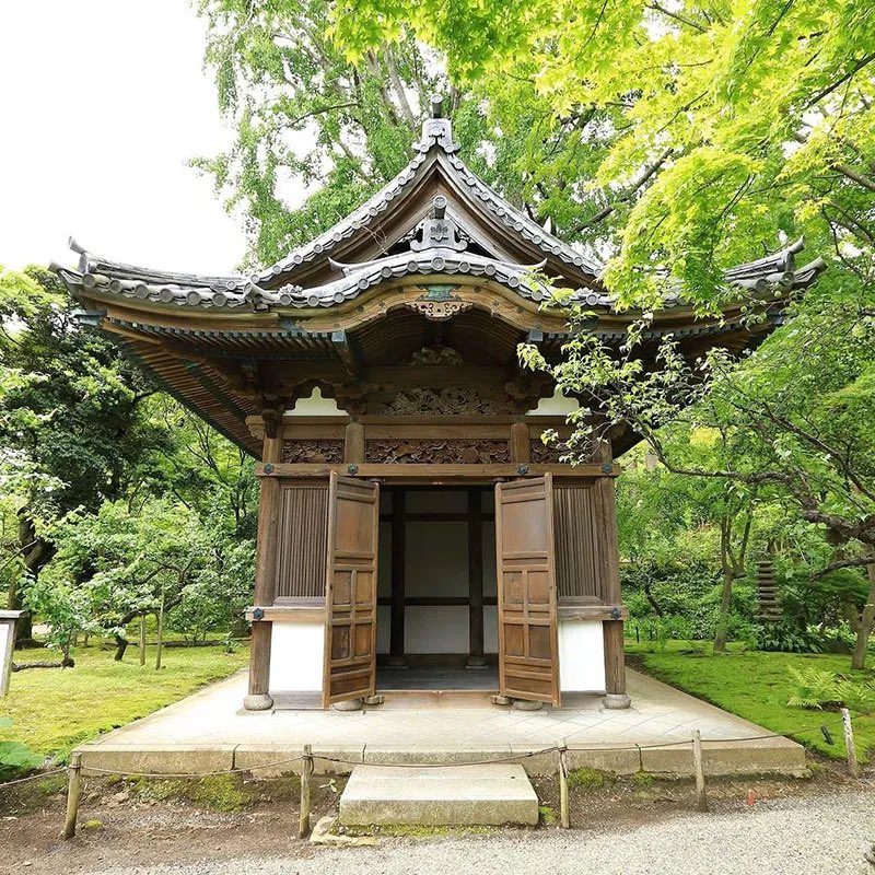 はまこれ®横浜 tweet media