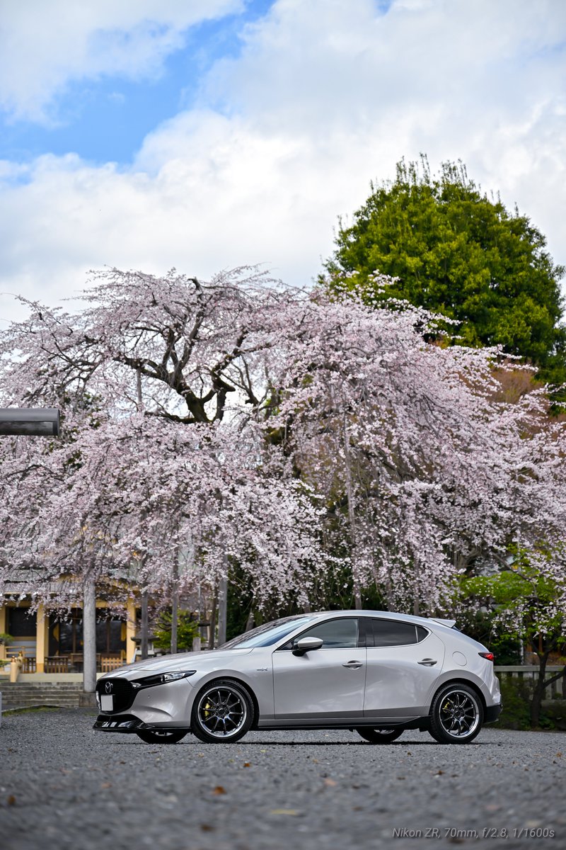 コウジ tweet media