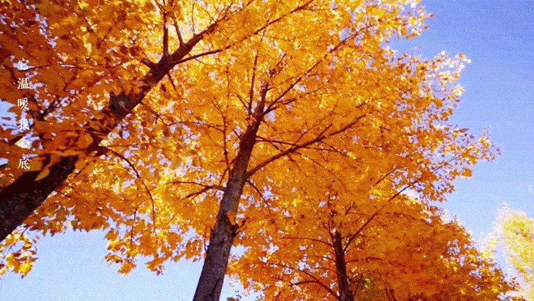 Rick Verbeek tweet media