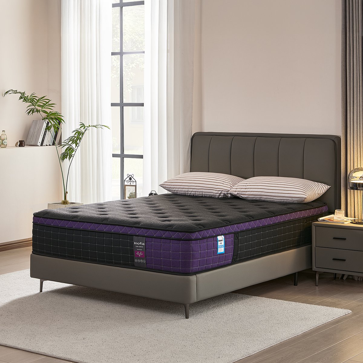 Inofia（UK） tweet media