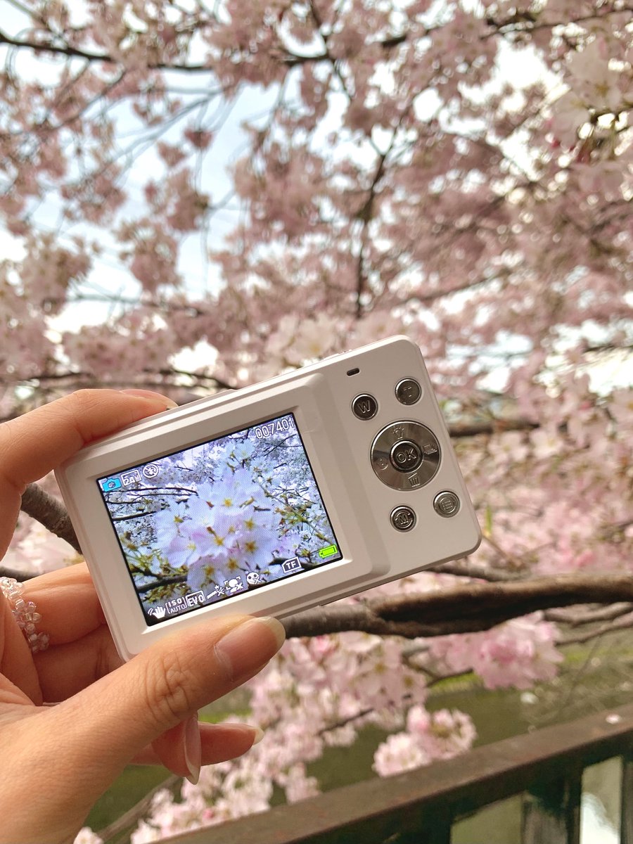 滝本 葵 tweet media