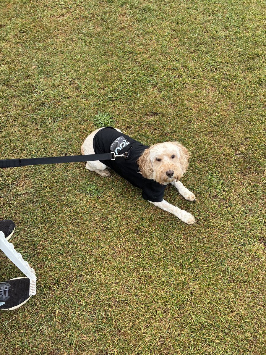 eastbrighton parkrun tweet media