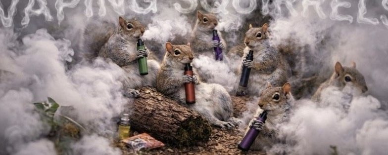 Champn Papi tweet media