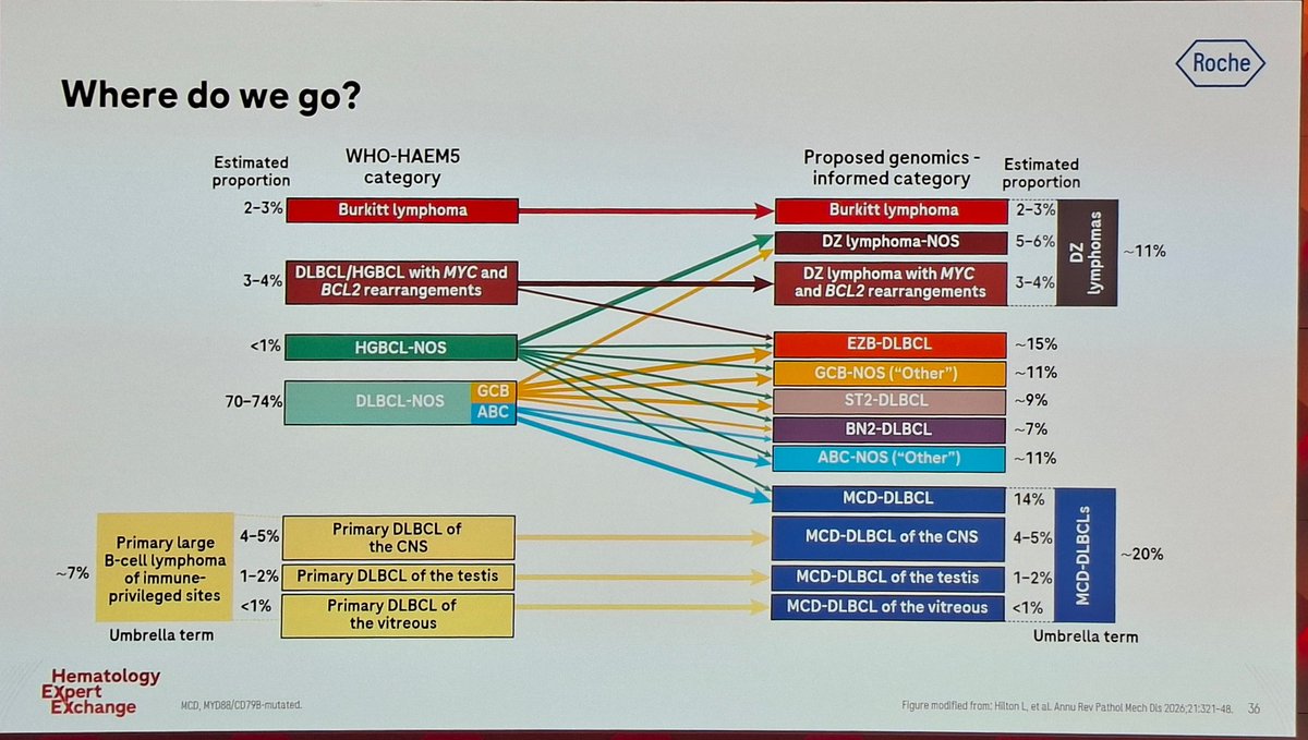 Laura Korin tweet media