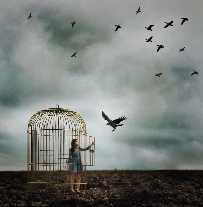 ©️ Il Caffè Letterario tweet media