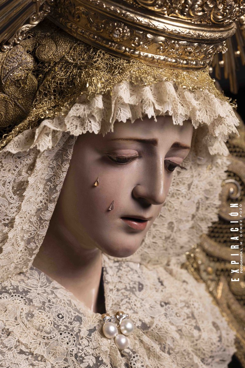 Expiración Málaga tweet media