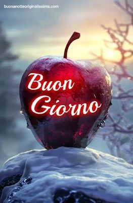 Donato Coletti tweet media