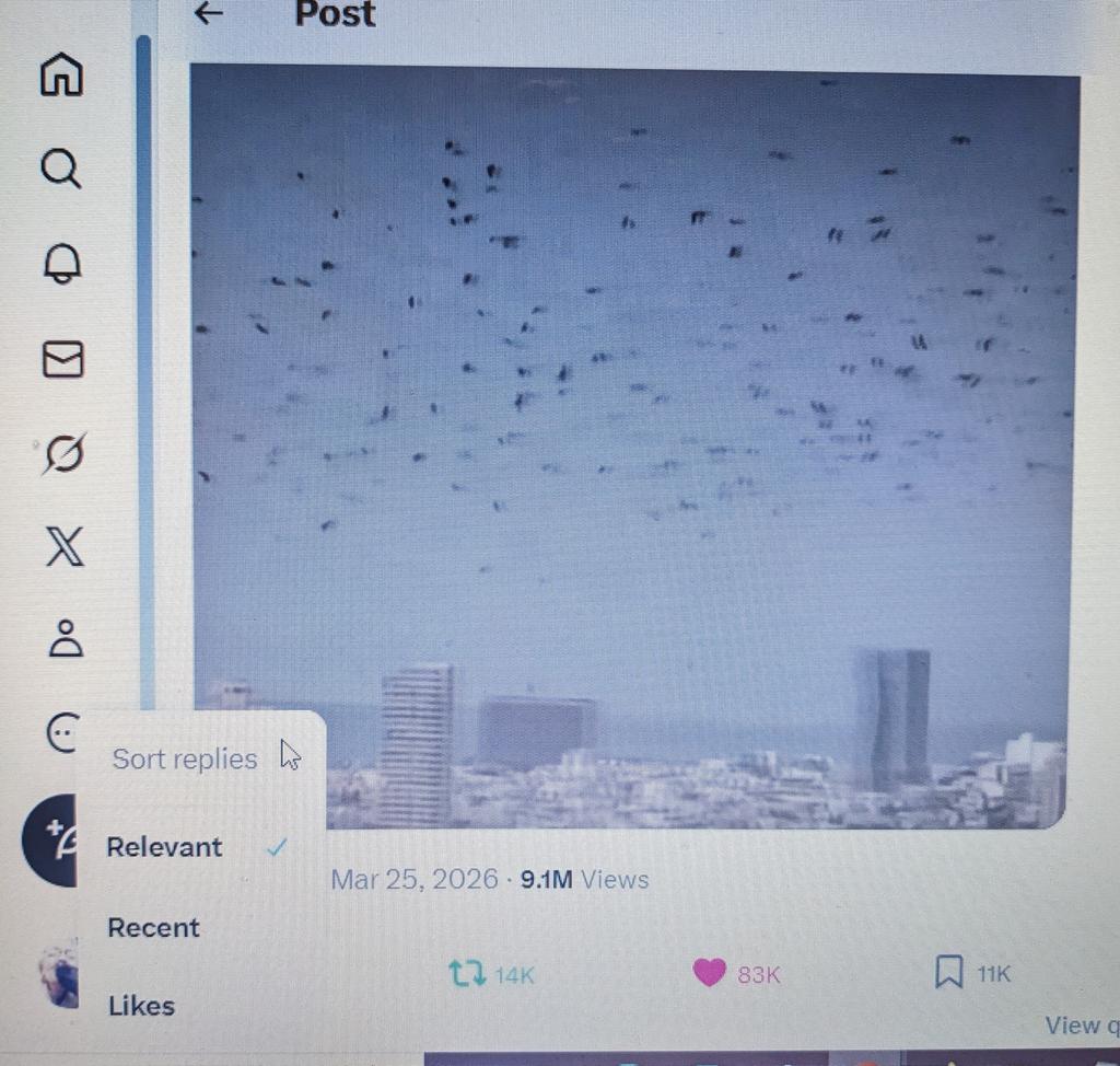 Maggi Carter tweet media