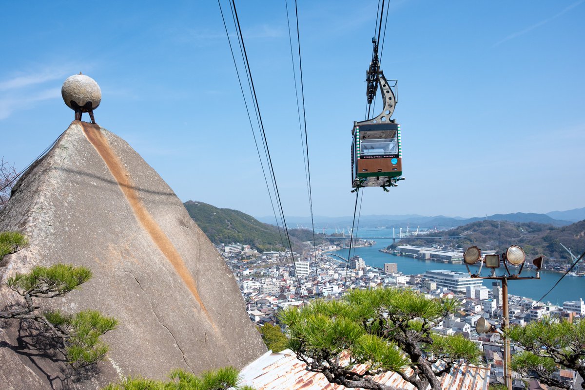 🌸尾道観光協会[おのなび]（広島県） tweet media