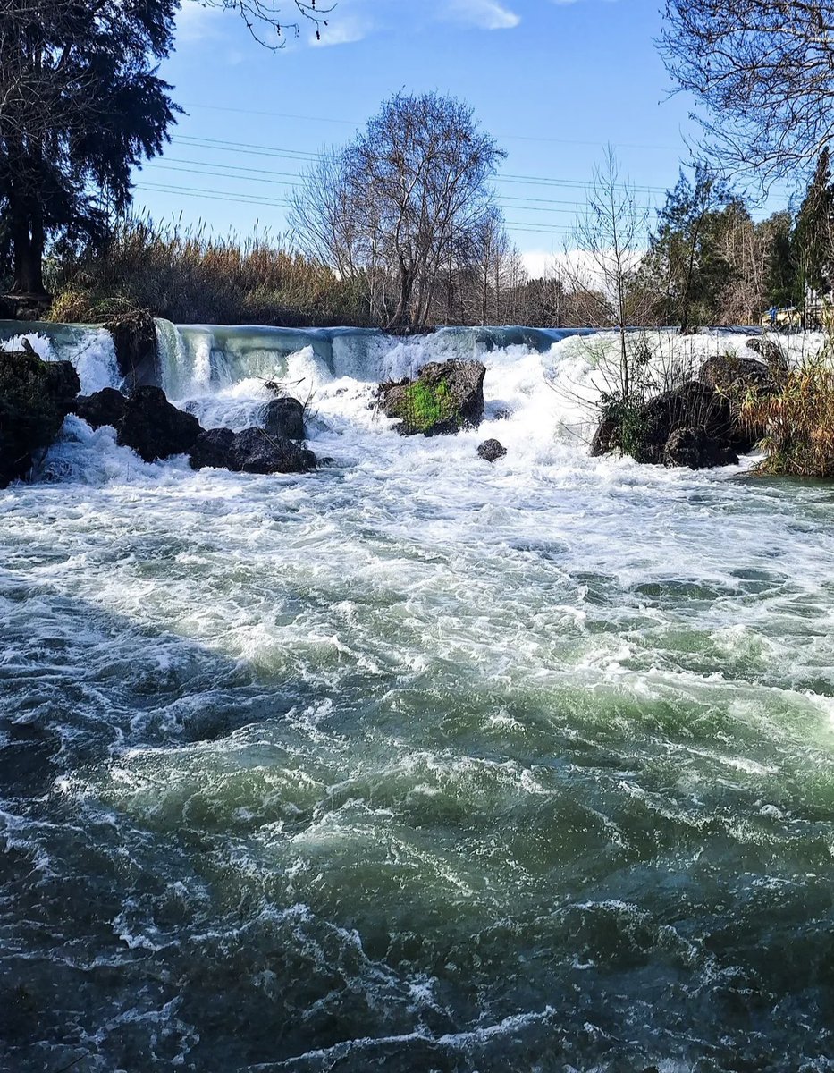 Dünya Kenti Mersin 🇹🇷 tweet media