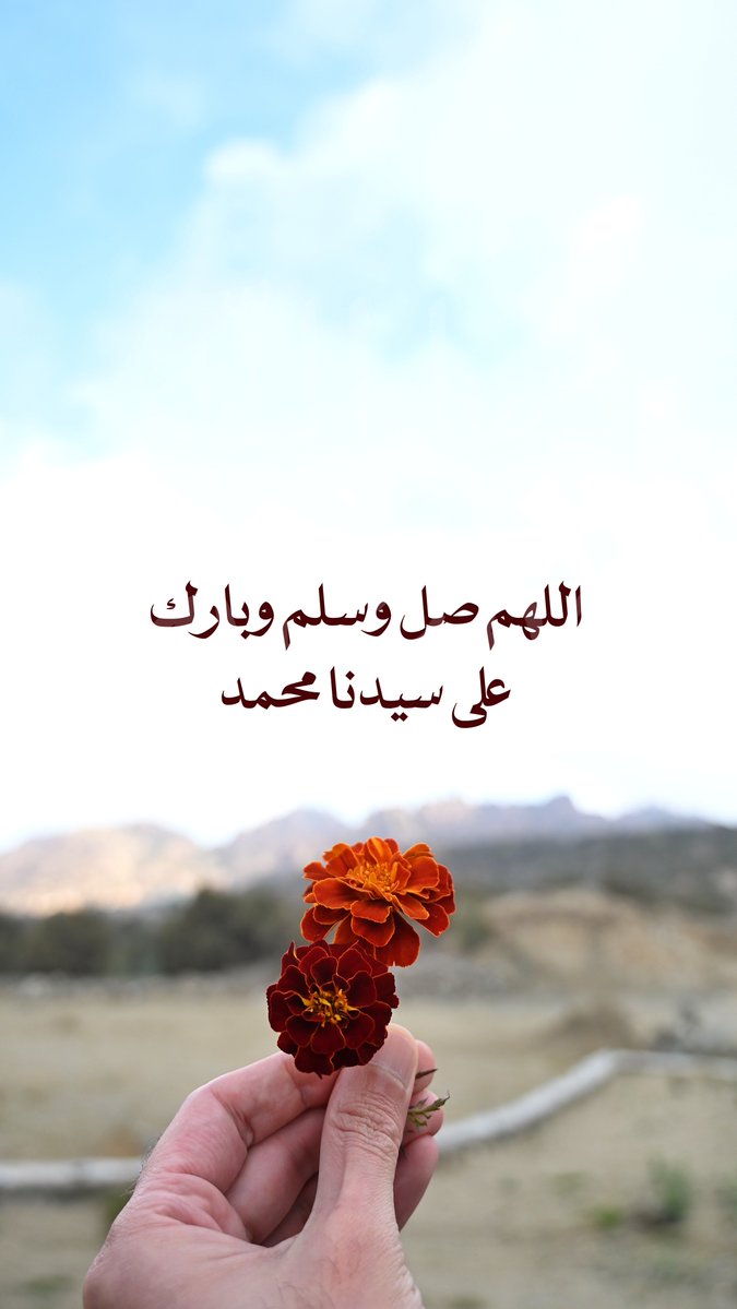 Anas Mahmoud tweet media