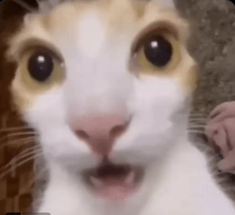 Balerion 🜲 tweet media