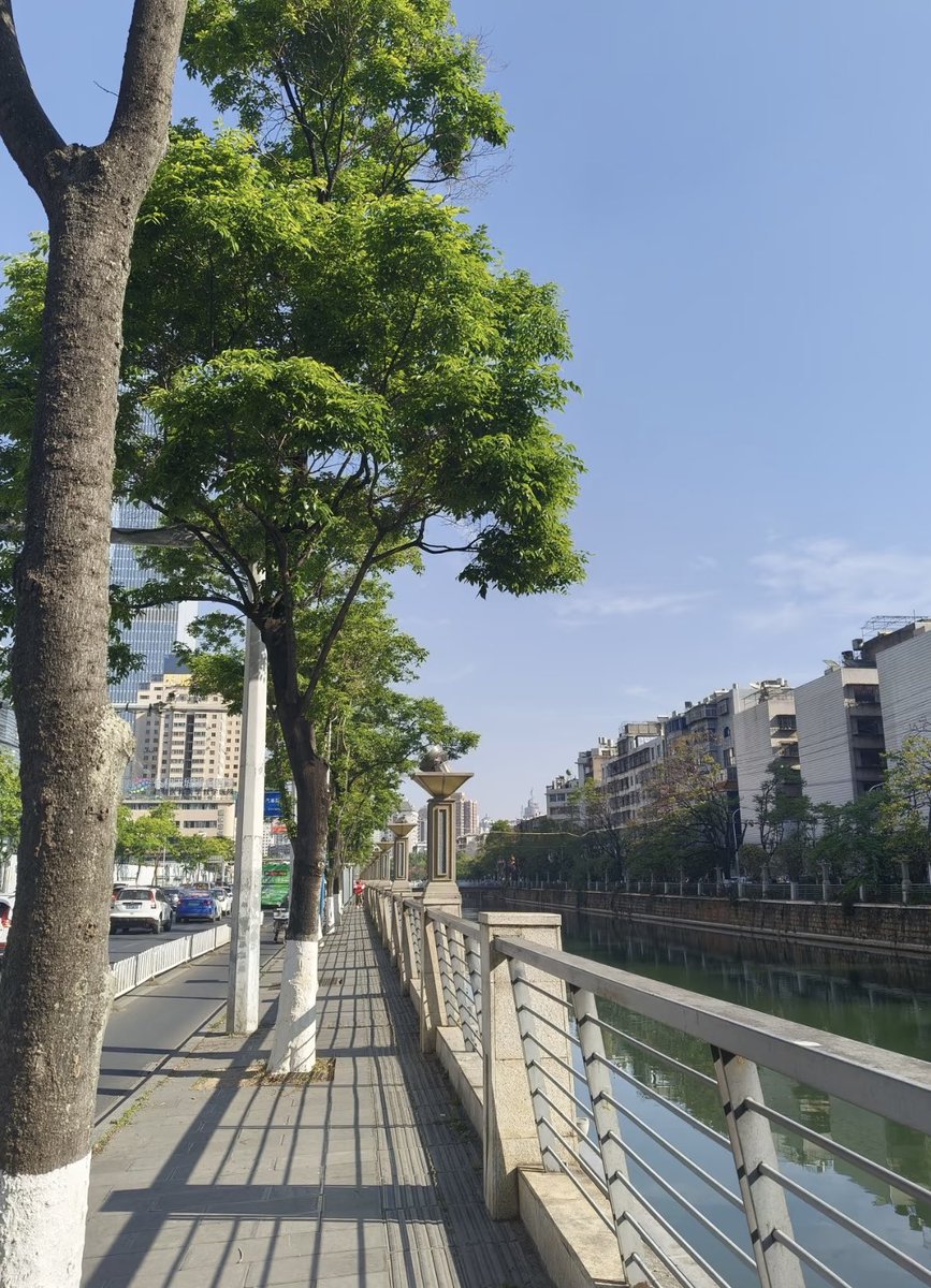 昆明阿诗玛👩‍🏫 tweet media