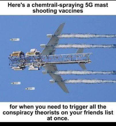 Jack Migger 🇧🇪🌿 tweet media