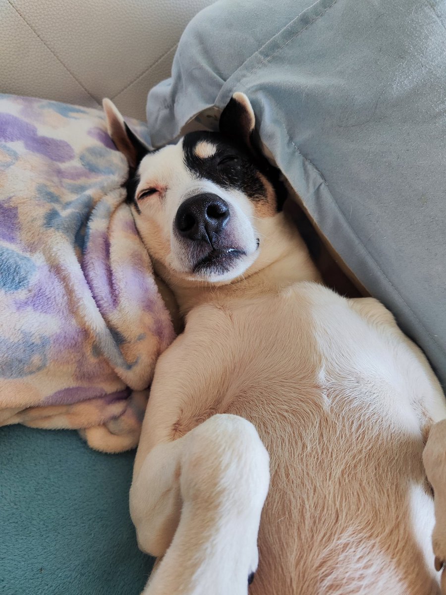 🌷🎀 Señorita Armstrong 🎀🪻 tweet media