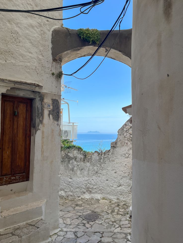 Beauty Explorer tweet media