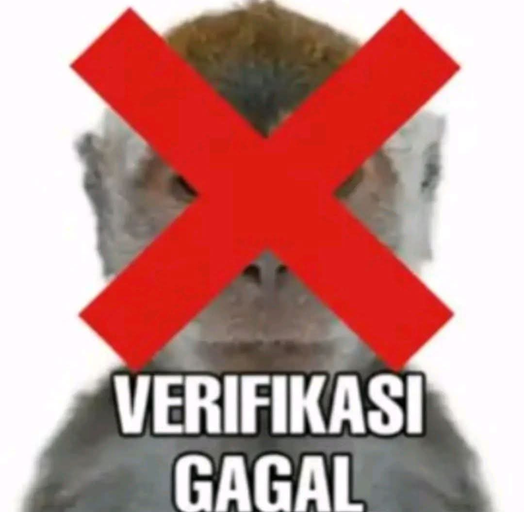 The kill tweet media