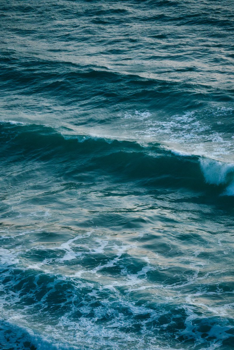 真道 健志 / Shindo Takeshi tweet media