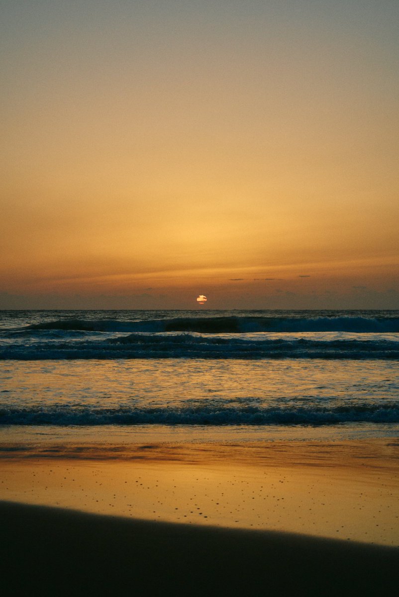 真道 健志 / Shindo Takeshi tweet media