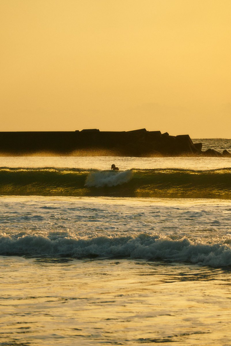 真道 健志 / Shindo Takeshi tweet media