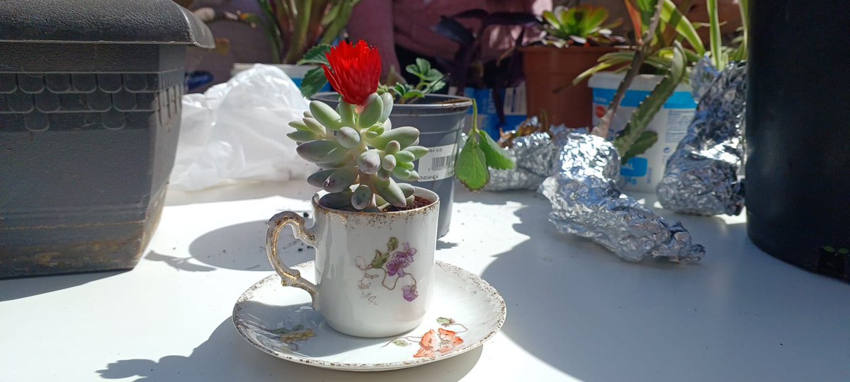 Adinkide tweet media