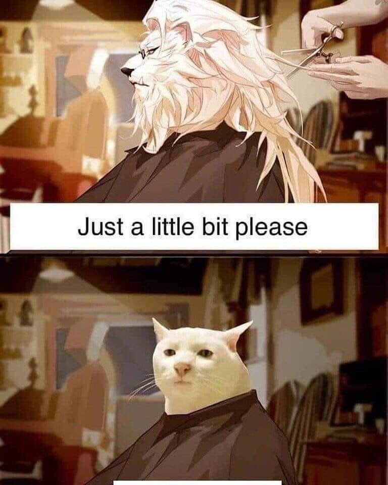 WholesomeMemes tweet media