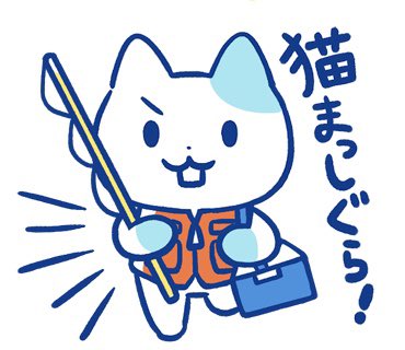 釣れない猫 tweet media