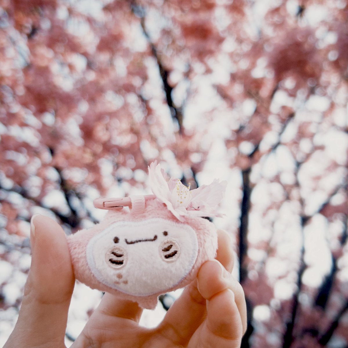 ubee_1124's tweet photo. 桜🌸
#桜　#大岡川 https://t.co/SsdvoLLavN