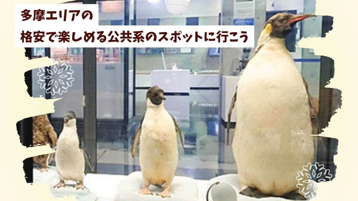 imatama01's tweet photo. おはようございます、イマタマ編集部です！
多摩地域で“格安で楽しめる公共スポット”をご紹介します。

科学館・里山・公園・交通遊園など、実はコスパ良く遊べる場所が多いんですよね✨
ちょっと気分転換したい時にもぴったりです。

https://t.co/RqWVhlnTHT

#イマタマ https://t.co/Yp7aU1WcbD