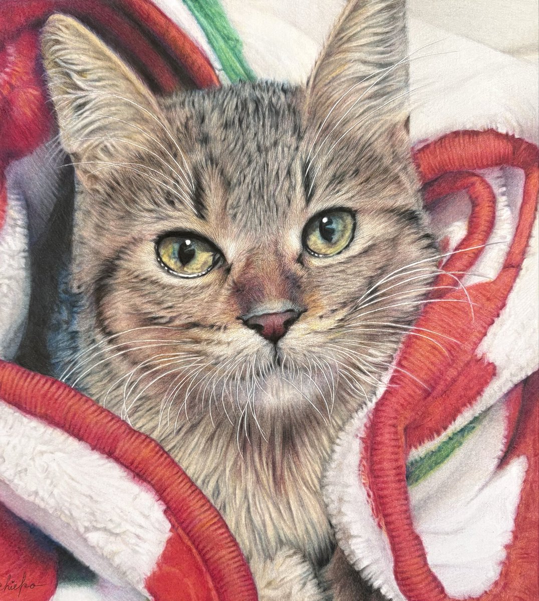 chie_t19690428's tweet image. オーダー作品『ユーリちゃん』です。1月に完成し本日3月27日ご命日にお届け出来ました🐾
#色鉛筆画
#coloredpencildrawing