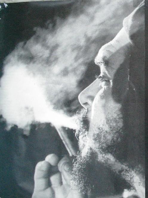 alone73x tweet media