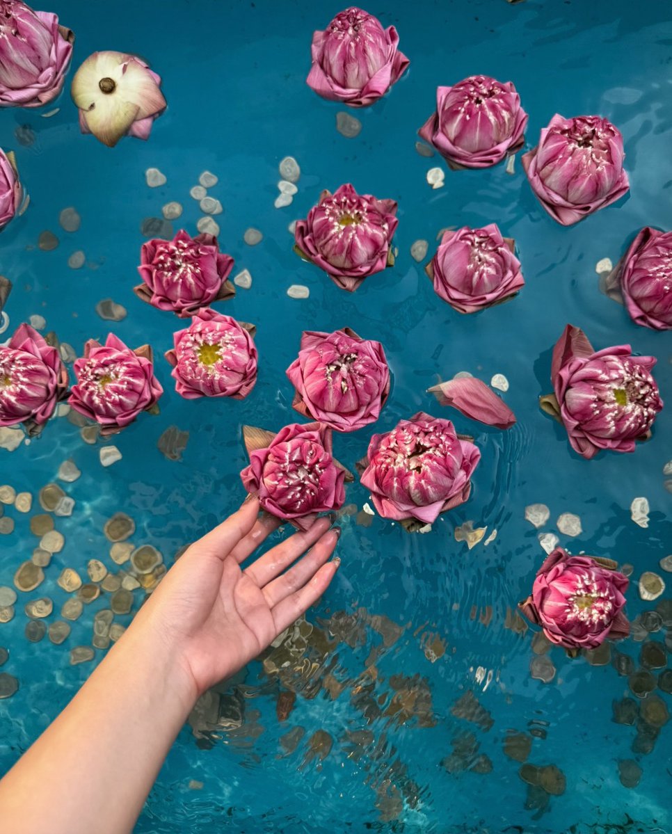 จองชุดฝากถวาย ทักไลน์ @ ค่า 🕉🕉 tweet media