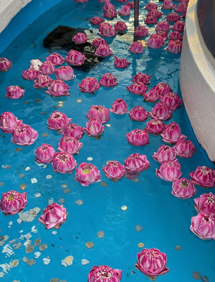 จองชุดฝากถวาย ทักไลน์ @ ค่า 🕉🕉 tweet media