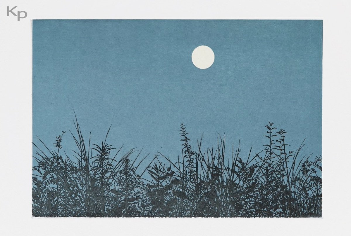 阪本トクロウ tweet media